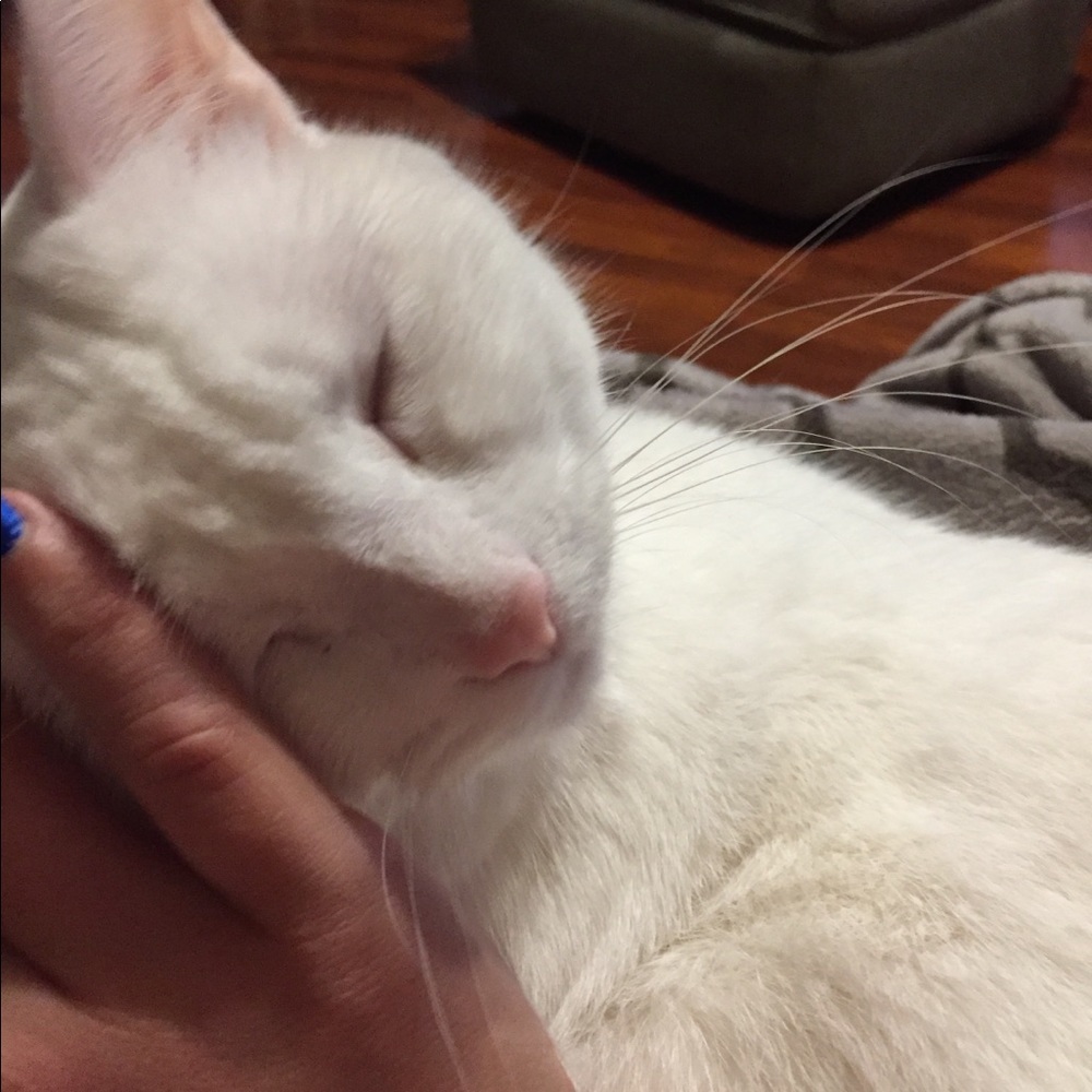 Meet your Posher, Kristen